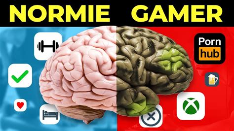 Does Video Games Rot Your Brain? Or Do They Just Make You Better at Dodging Reality?