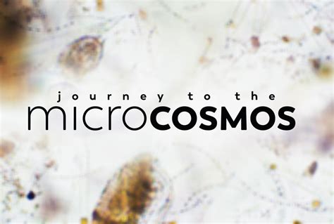 Journey to the Microcosmos: An Exploration Game Unveiling the Wonders of Cellular Life!